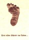 Thumbs/tn_Daniel ersterSchritt-Geburtsanzeige.jpg